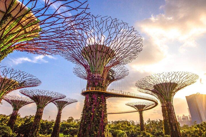 Tour della città di mezza giornata di Singapore con Skypark e giardini vicino alla baia