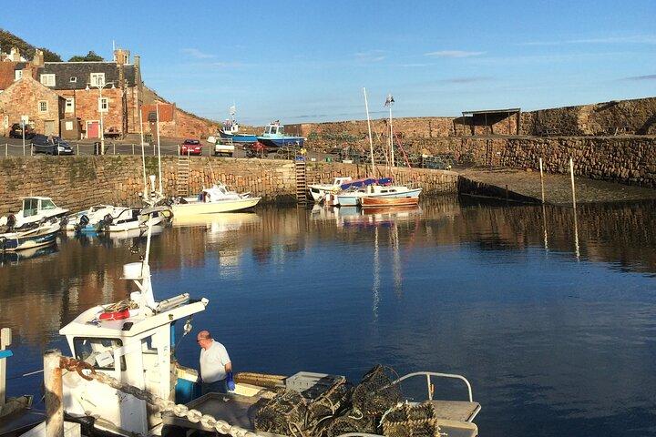 Charmes côtiers : visite privée d'une journée à St Andrews et au Royaume de Fife