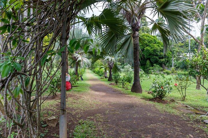 Private Tour durch Fort Charlotte zum Botanischen Garten und Kingstown