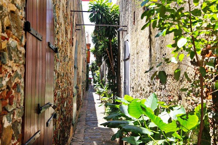 Private Tour Scenic Historical til Fort Charlotte og Queens drive