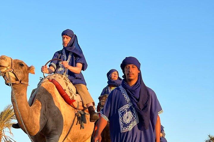 Camelo em Marrakech ao pôr do sol
