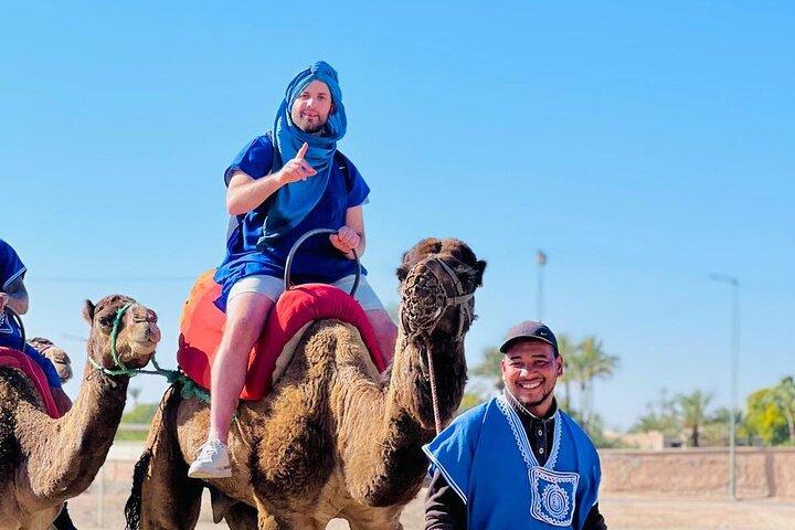 Camelo em Marrakech ao pôr do sol