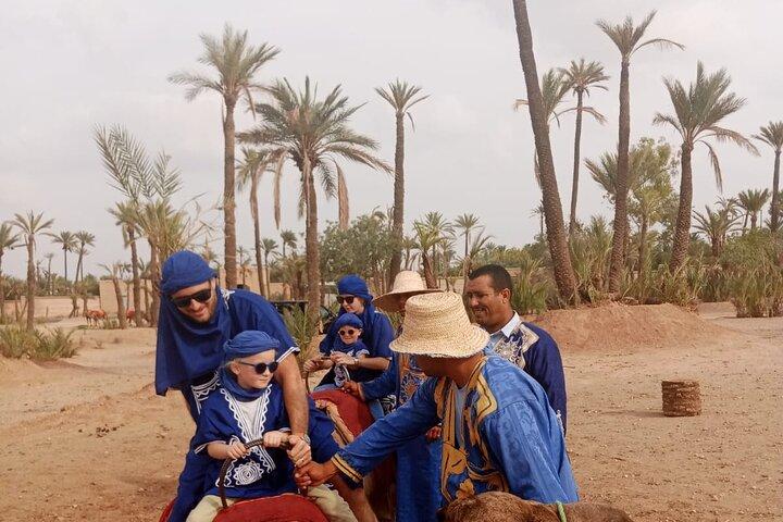 Camelo em Marrakech ao pôr do sol