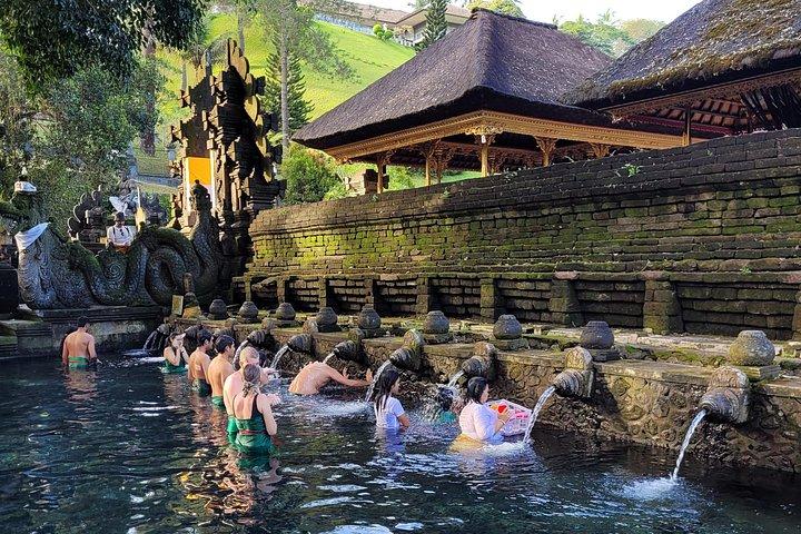 Visite privée d'une journée complète du meilleur d'Ubud