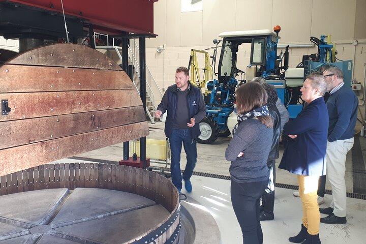 Visite de cave et balade dégustation dans les vignes