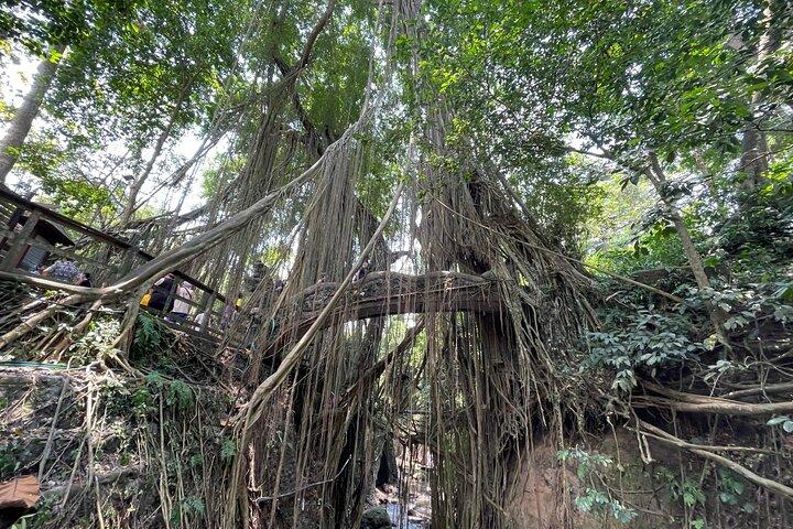Bedste af Ubud Fuld dag privat guidet tur