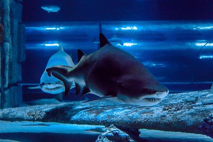 Antalya Aquarium Full-Day Trip
