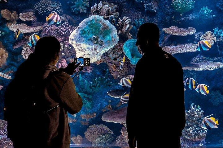 Antalya Aquarium Full-Day Trip