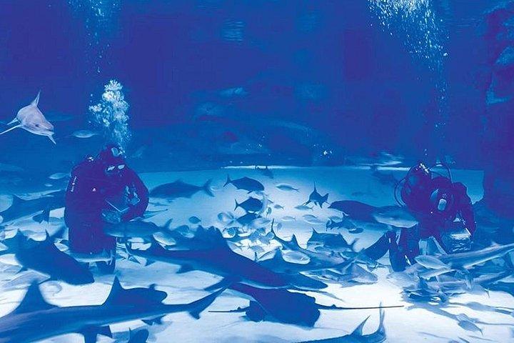 Antalya Aquarium Full-Day Trip