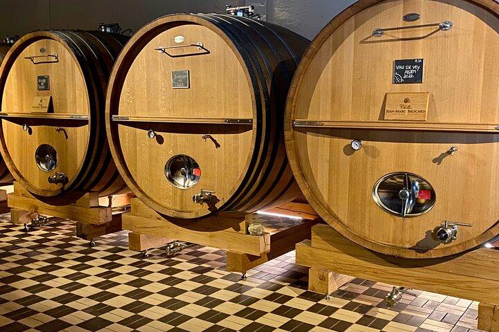 Private Exquisite Red & White Burgundy Wines Trip from Paris