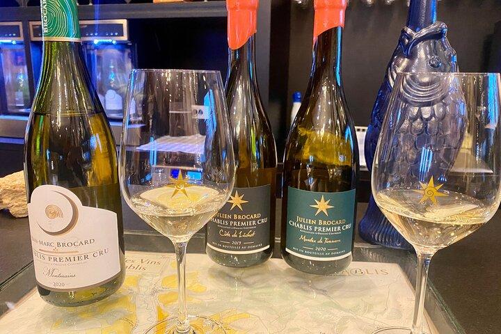 Private Exquisite Red & White Burgundy Wines Trip from Paris