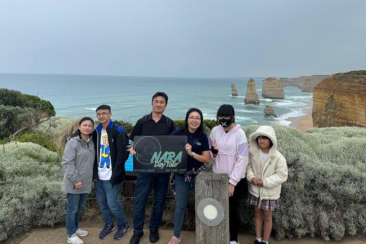 Petit groupe Great Ocean Road Reverse et observation de la faune