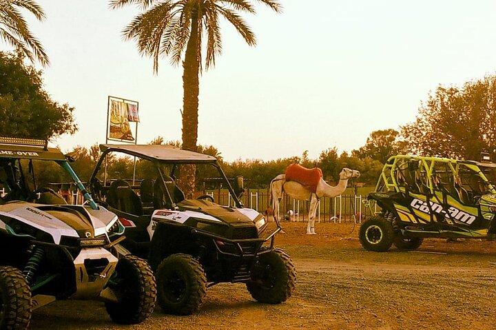 Desert Thrills: Quad Biking Adventures in Palmeraie Marrakech