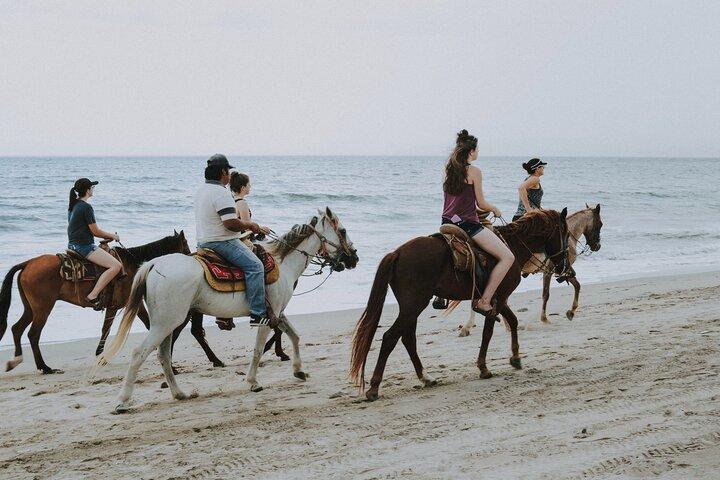 Hurghada: paseo a caballo por el mar y el desierto, observación de estrellas, cena, espectáculo