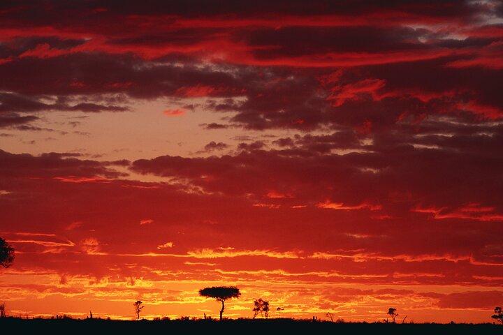 Aventure de 3 jours et 2 nuits dans le Masai Mara