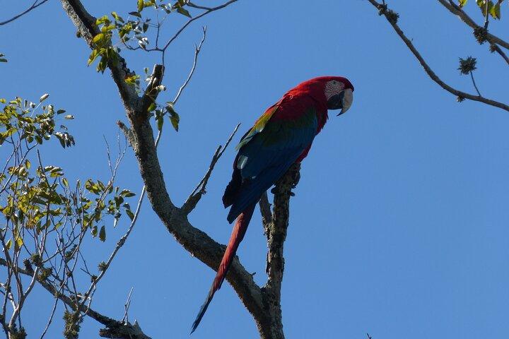 Connect with the nature of Iberá on a private tour