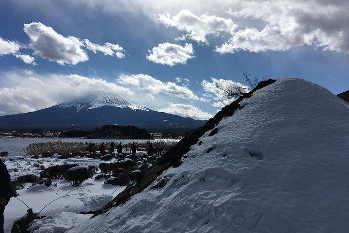 1-day Private Ski Lesson from Tokyo/optional Mt. Fuji Sightseeing