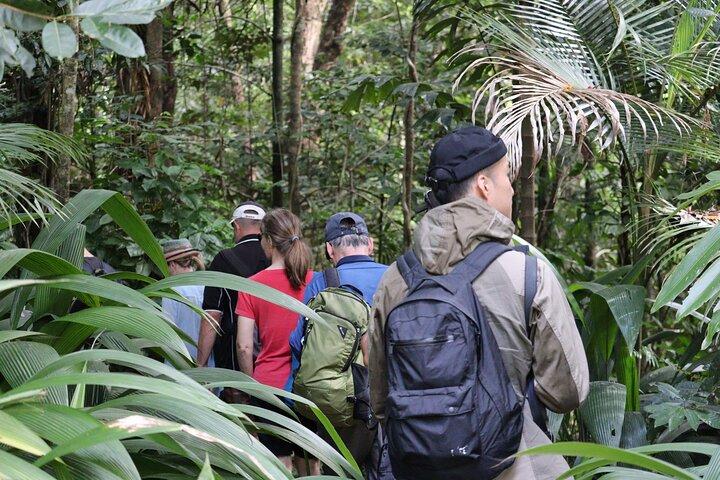 Cairns : Daintree & Cape Tribulation 2 - dagtour met opties