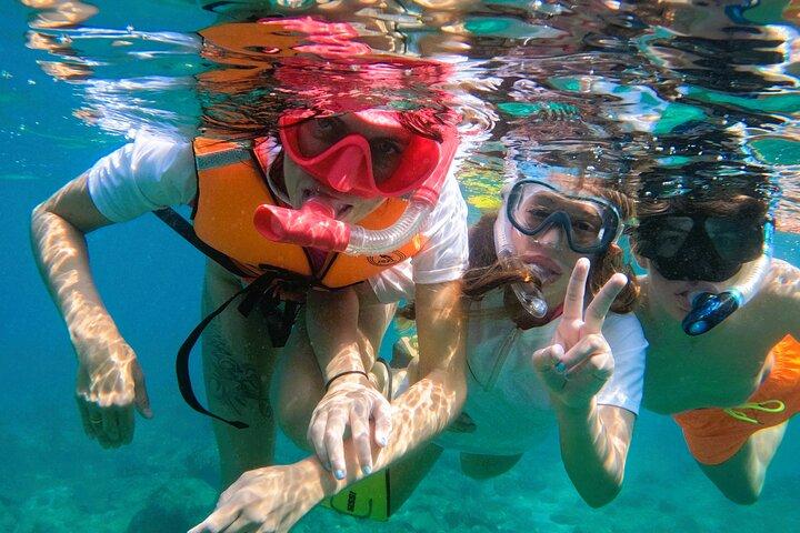 Da Abu Dhabi : Snorkeling con le tartarughe a Fujairah