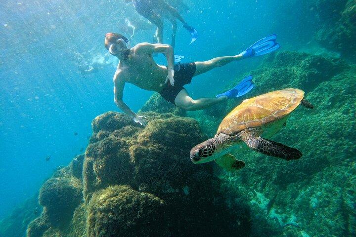 De Abu Dhabi : Plongée en apnée avec des tortues à Fujairah