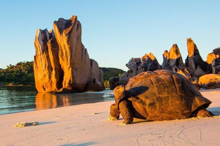 半日キュリューズ島とサンピエール島セーシェル