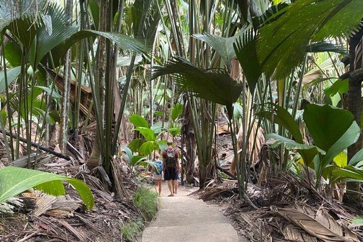 セーシェル マヘ島発プララン ラ ディーグ島日帰り旅行