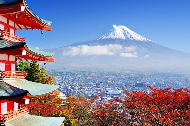 Mt. Fuji & Hakone Private Day Tour with English-Speaking Driver