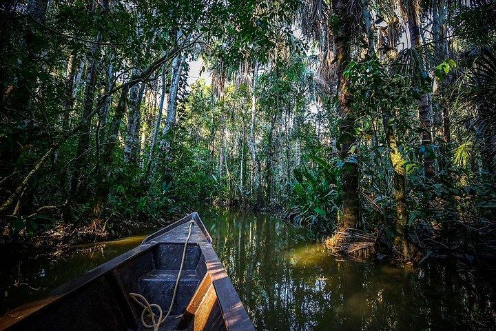 プエルト・マルドナード: Jungle Experience - 熱帯雨林の中の4D/3N