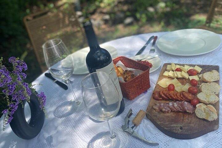 Experiência de degustação de vinho e Asado (BBQ)