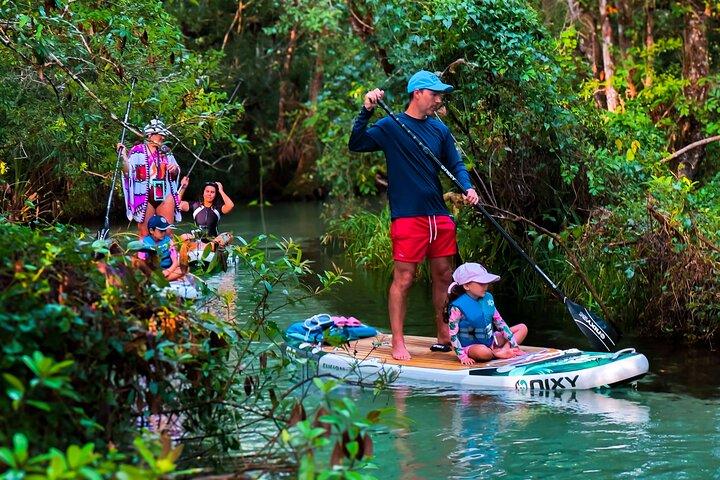 Paddleboard het heldere water van Rainbow Springs