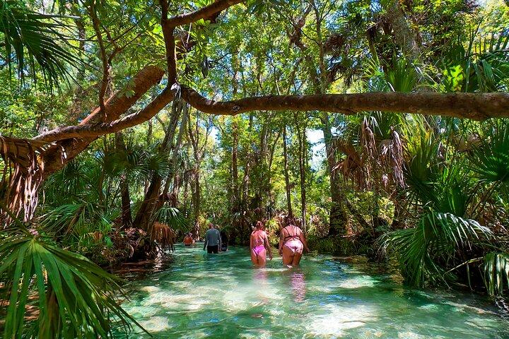 Paddleboard het heldere water van Rainbow Springs