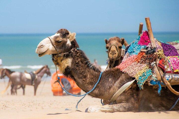 Privat 3 dage Marrakesh til Desert & Atlas Mountains & Essaouira
