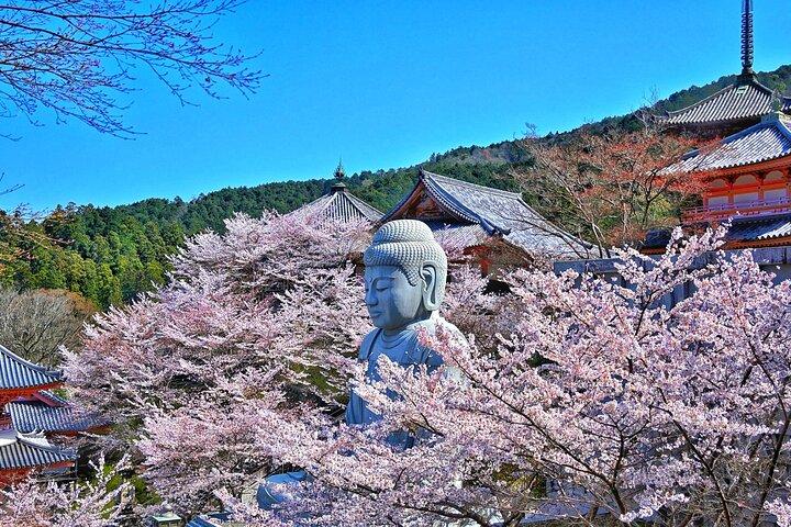 桜大仏と吉野山 いちご狩りツアー