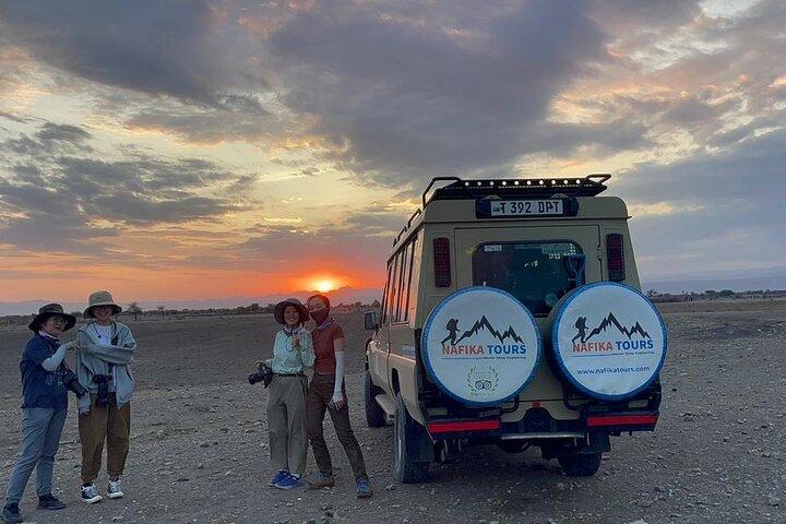 4 dagars Tanzania Safari