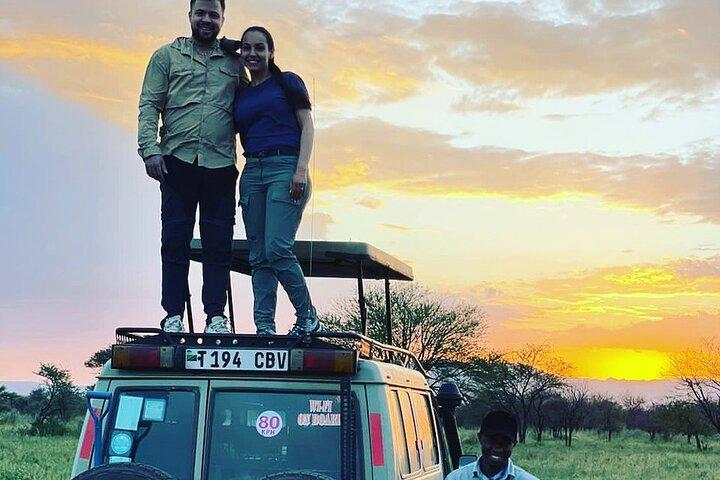 4 dagars Tanzania Safari
