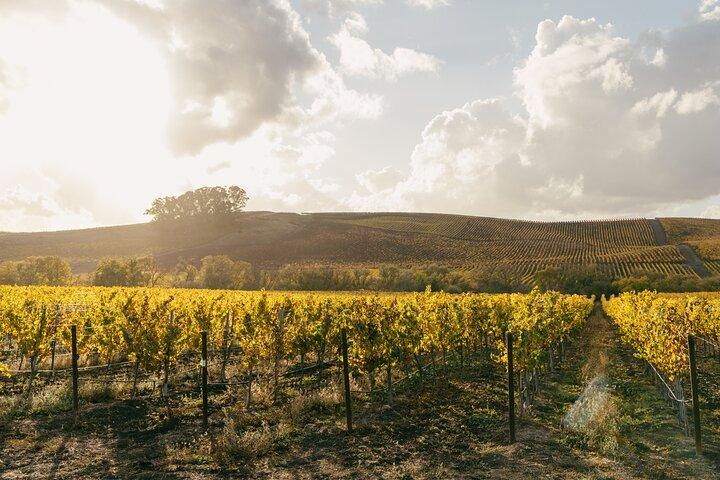 Petit groupe : Ultime visite des vins de Napa & Sonoma au départ de San Francisco