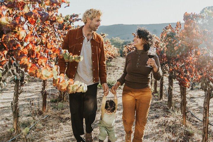 Napa et Sonoma Wine Tour au départ de San Francisco