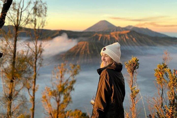 スラバヤまたはマランからのブロモ山日の出ツアー - 1 日