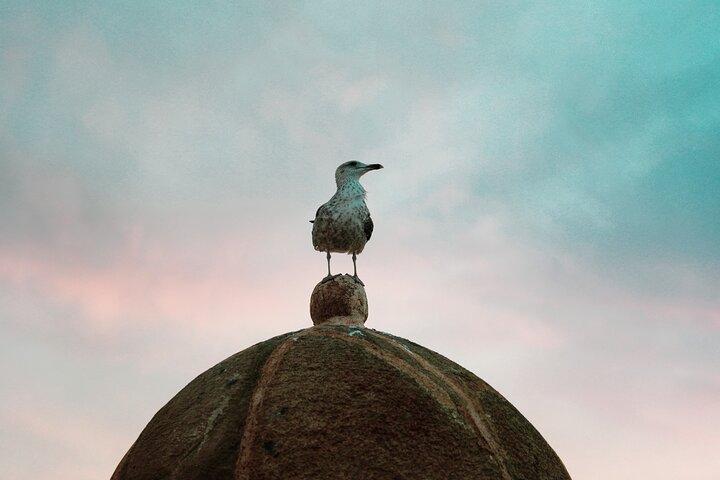 Essaouira-dagstur fra Marrakech