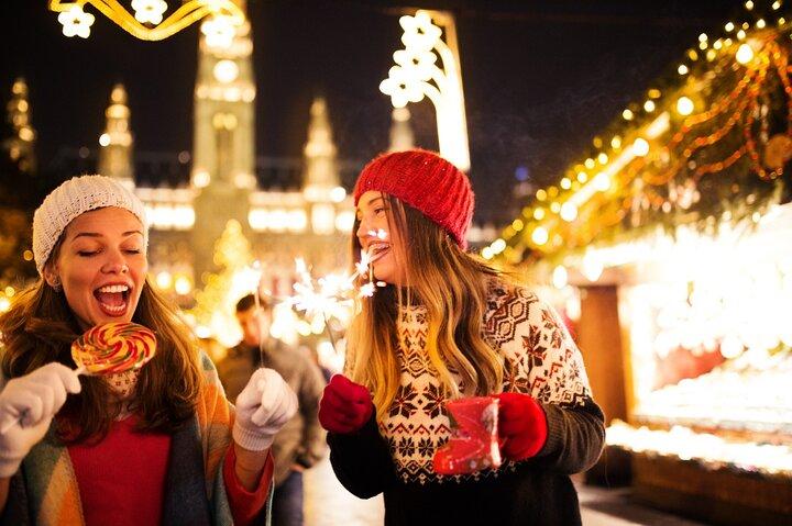 Private Vienna Historic Christmas Walking Tour com Glühwein