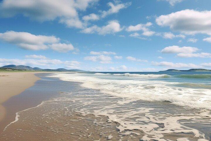 Privat heldagstur fra Cork Ring af Kerry & Killarney