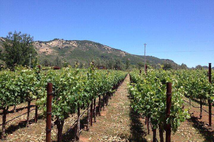 Transferência Privada da Vinícola Fredericksburg