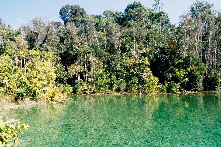 Krabi Jungle Tour: Hot Spring-waterval, Emerald Pool en Tiger Cave