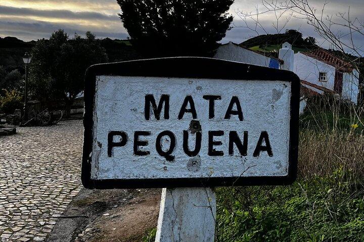 Visit to Queluz Palace and Mafra Convent - Private Tour