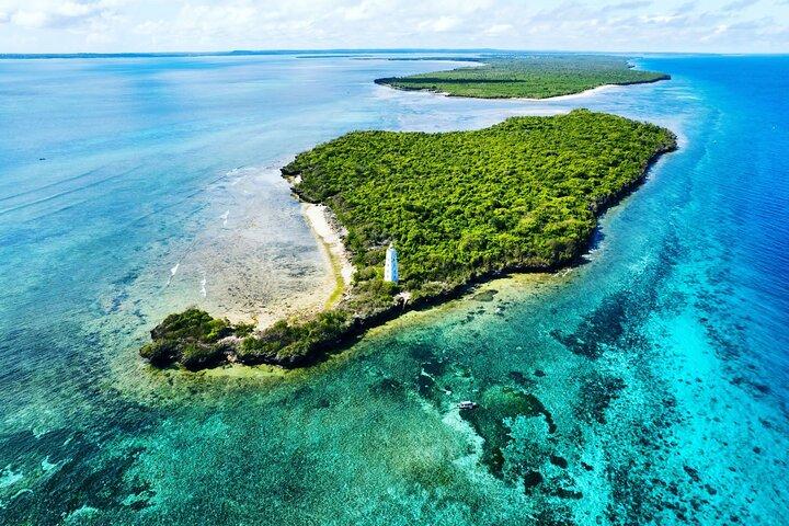 Snorkeltour naar dolfijnen en Tumbatu-eilanden met pick-up
