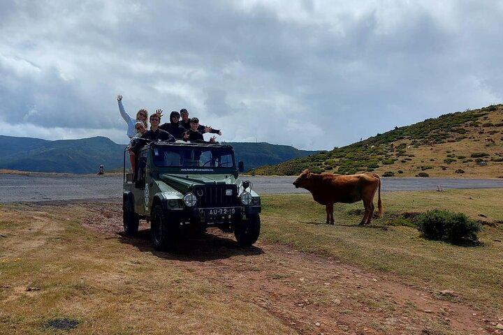 West Madeira 4x4 Adventure, Porto Moniz, Mystic Forest, udsigt .&