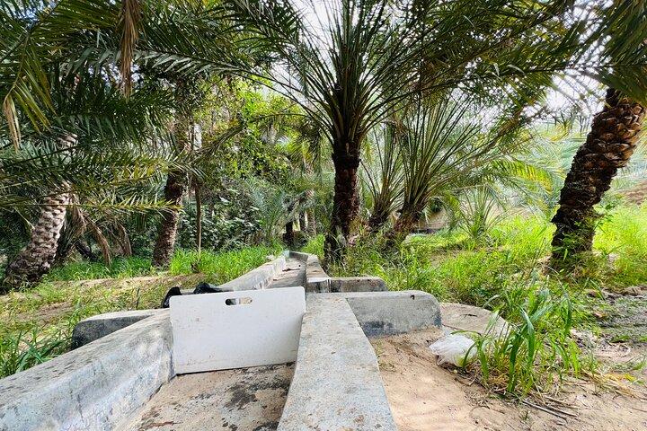 Private -Full Day Alain City Tour