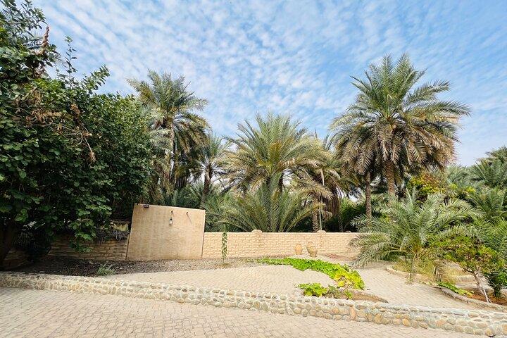 Private -Full Day Alain City Tour