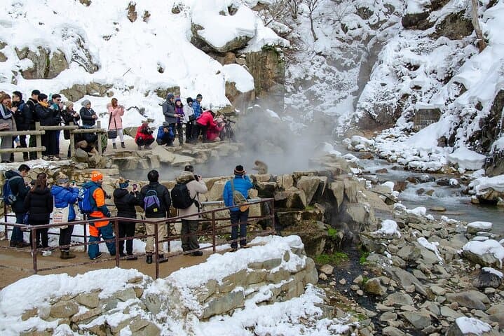 Day Trip Snow Monkey in Nagano from Tokyo by bullet train