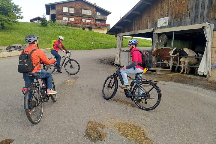湖クルーズ付きパノラマ電動自転車ツアー